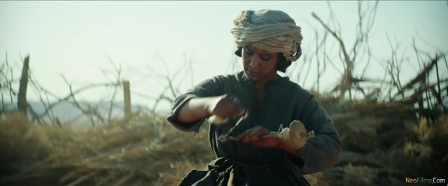 Desert Warrior (2026) Web-DL [Hindi]