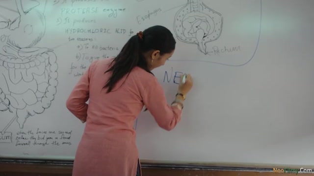 Adarsh Baal Vidyalaya (2026) S01E01 Web-DL [Hindi]